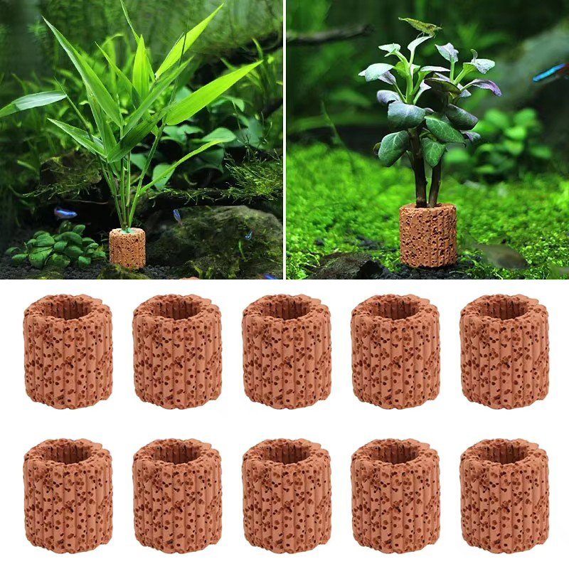 Marine Aquarium For Sale - Anillo fijo para plantas acuáticas, para