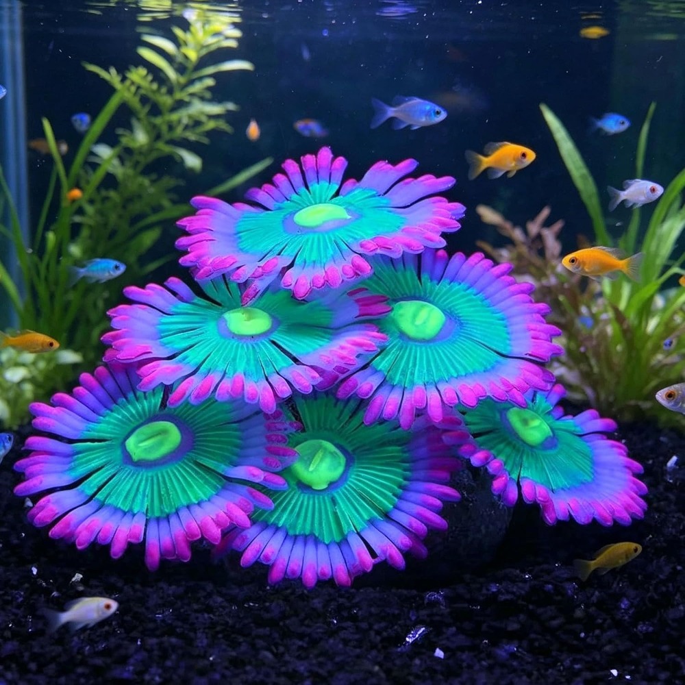 Marine Aquarium For Sale - Decoraciones Luminosas para Acuarios, Plantas Artificiales