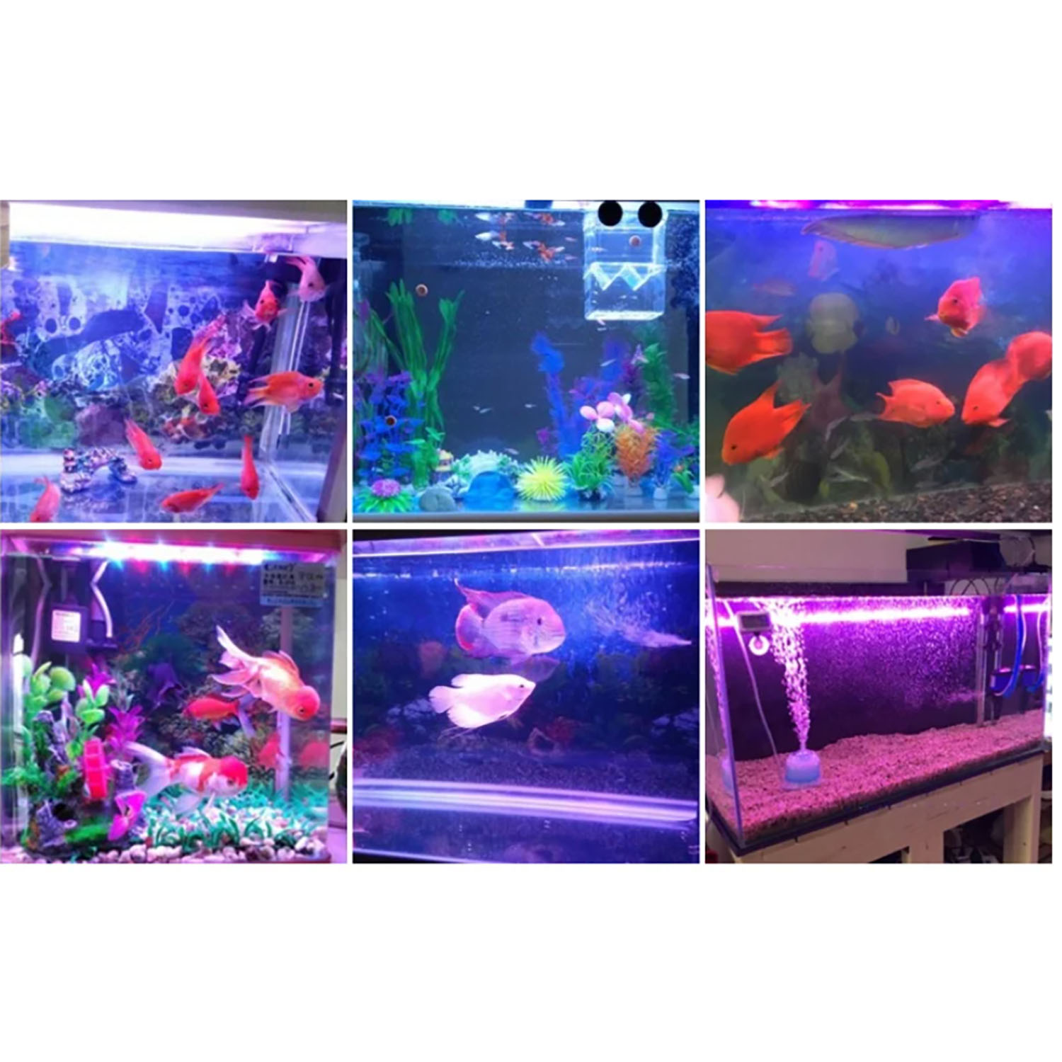 Marine Aquarium Uv - Iluminación LED para Acuarios Marinos de