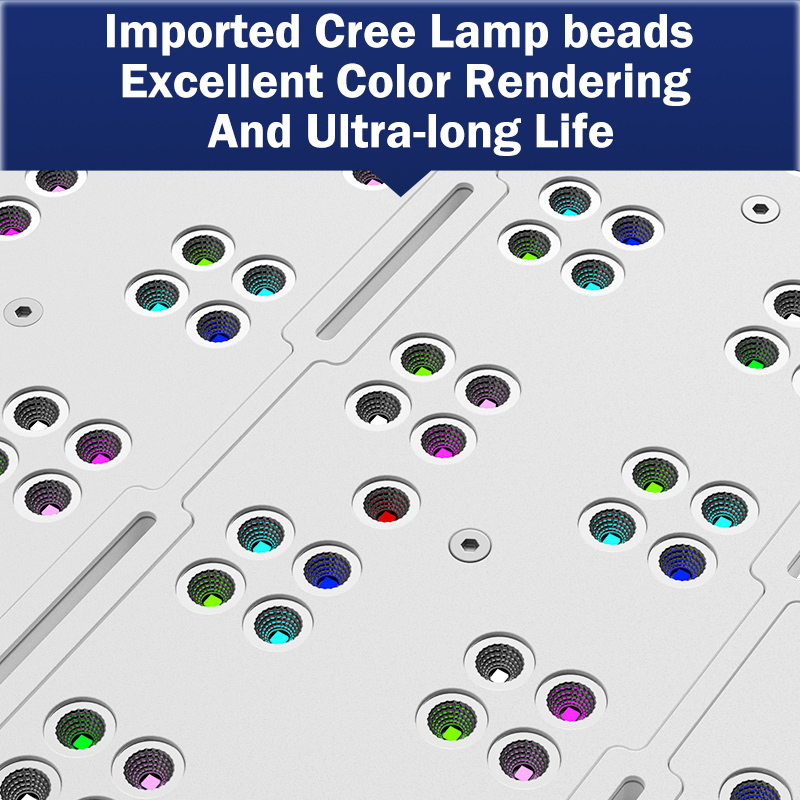 Lámpara LED de espectro comple - Marine Aquarium & Regional Centre reseña y precio