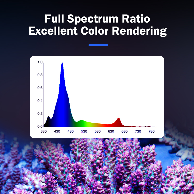 Lámpara LED de espectro comple - Marine Aquarium & Regional Centre reseña y precio