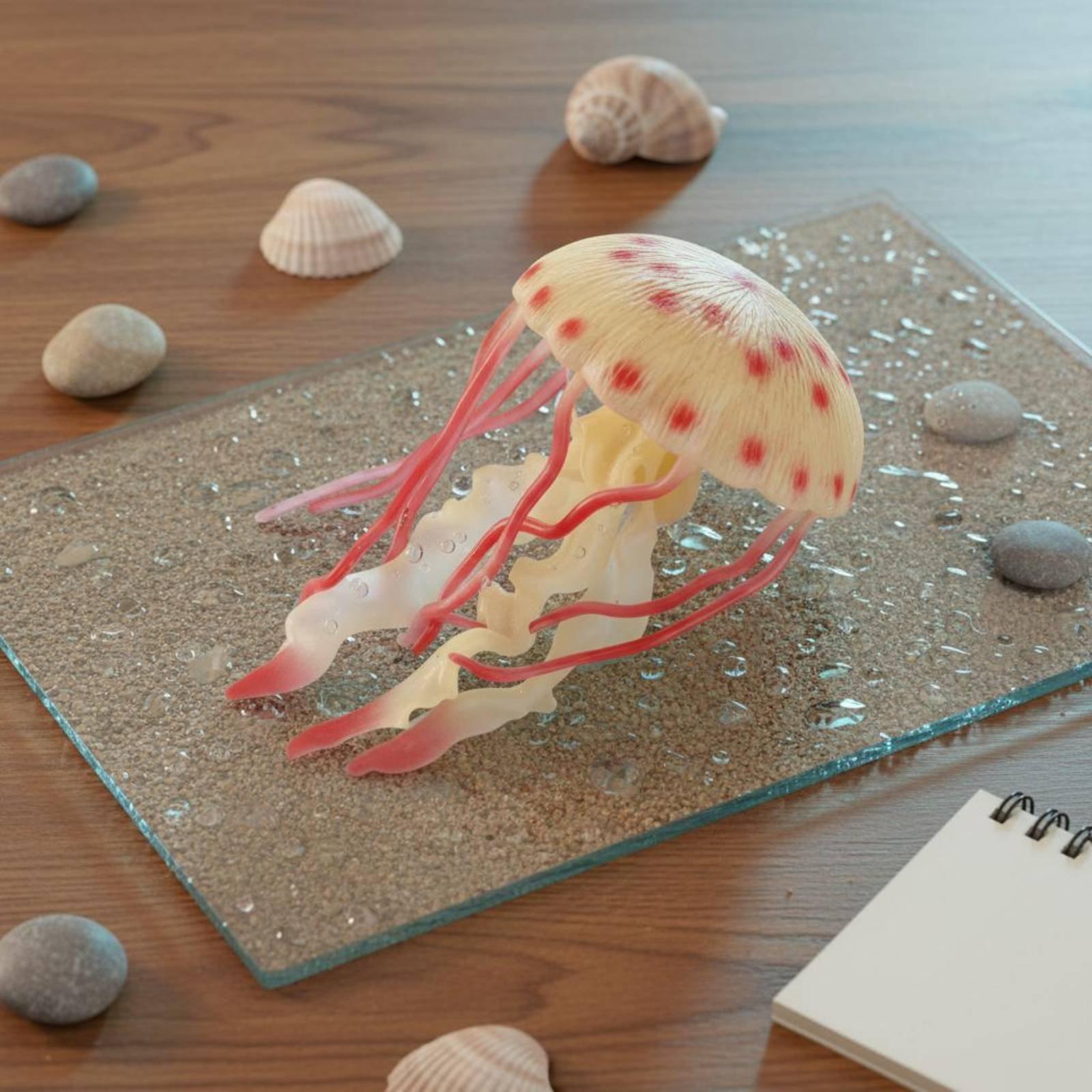 Figura de Cangrejo Realista de - Marine Aquarium & Regional Centre reseña y precio