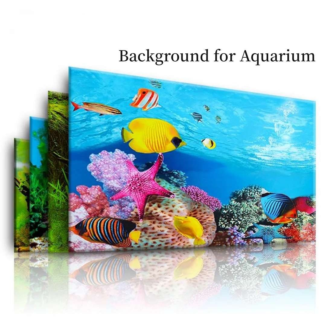 Fondo acuario pegatina 3D cart - Marine Aquarium For Sale reseña y precio