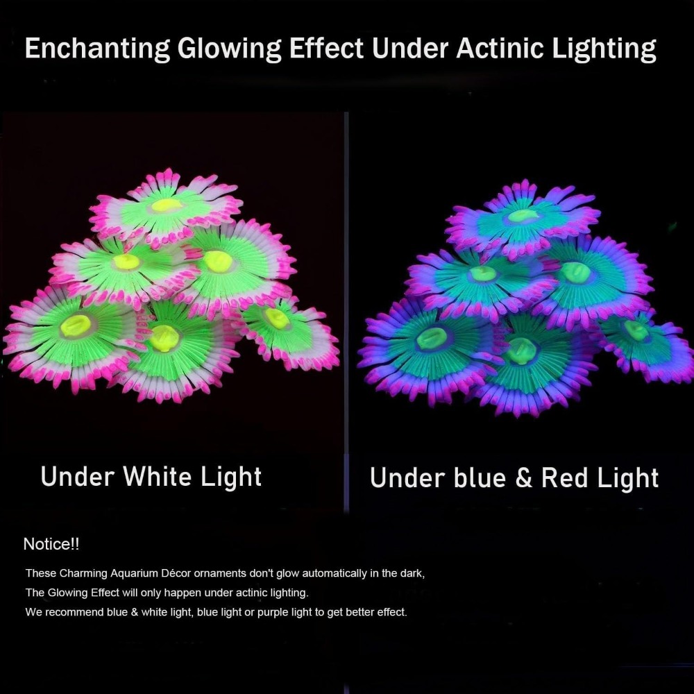 Decoraciones Luminosas para Ac - Marine Aquarium For Sale reseña y precio
