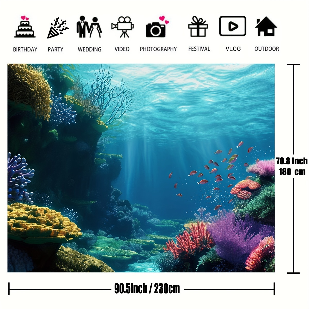 1 unidad. Telaraña plana 2D co - Marine Aquarium & Regional Centre reseña y precio