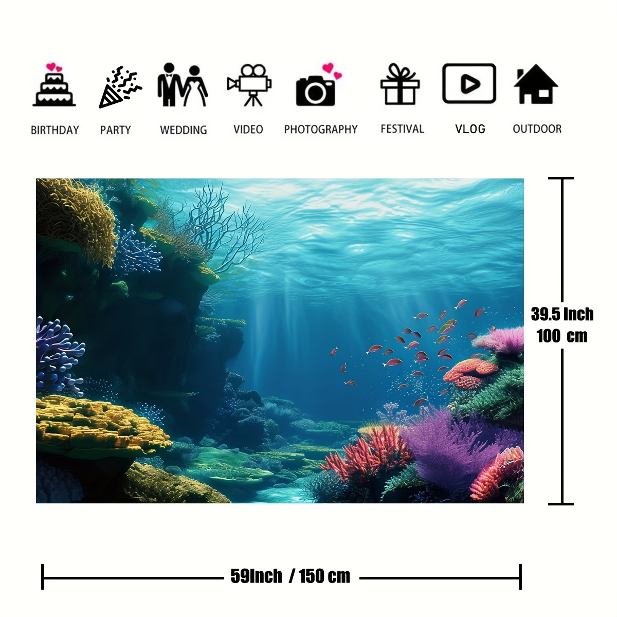 1 unidad. Telaraña plana 2D co - Marine Aquarium & Regional Centre reseña y precio