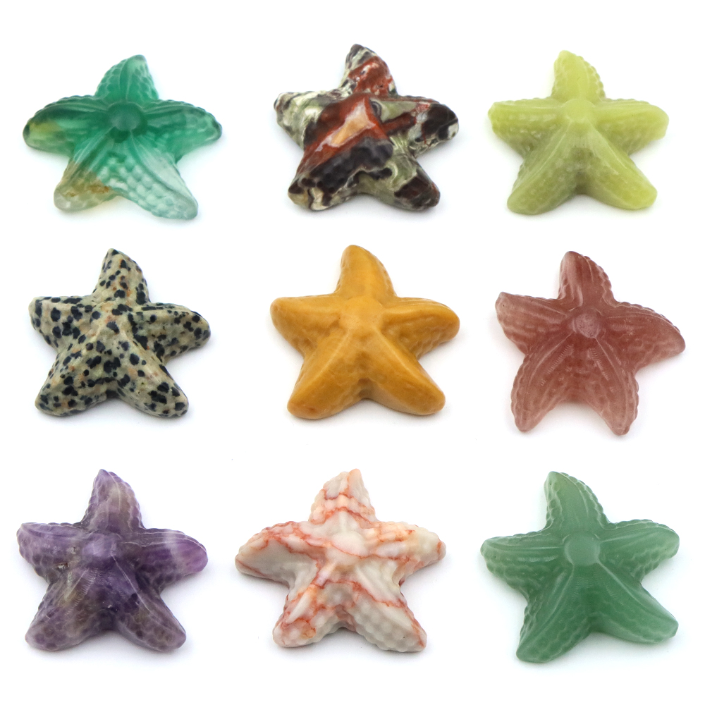 Estatua con forma de estrella  - Marine Aquarium & Regional Centre reseña y precio