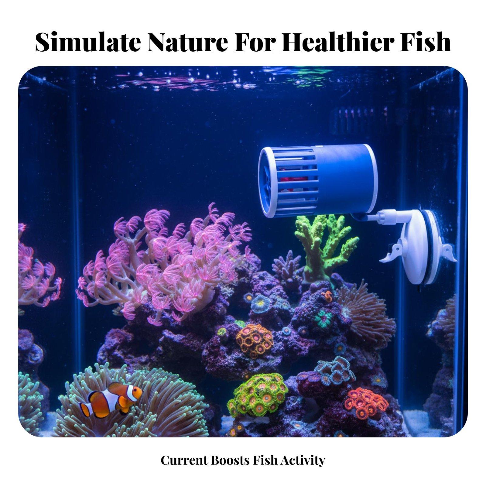 Generador de Ondas para Acuari - Marine Aquarium Wave Maker reseña y precio