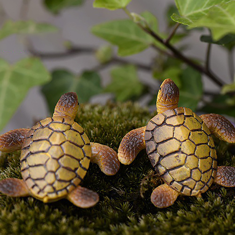 Mini tortuga marina, modelo de - Marine Aquarium For Sale reseña y precio