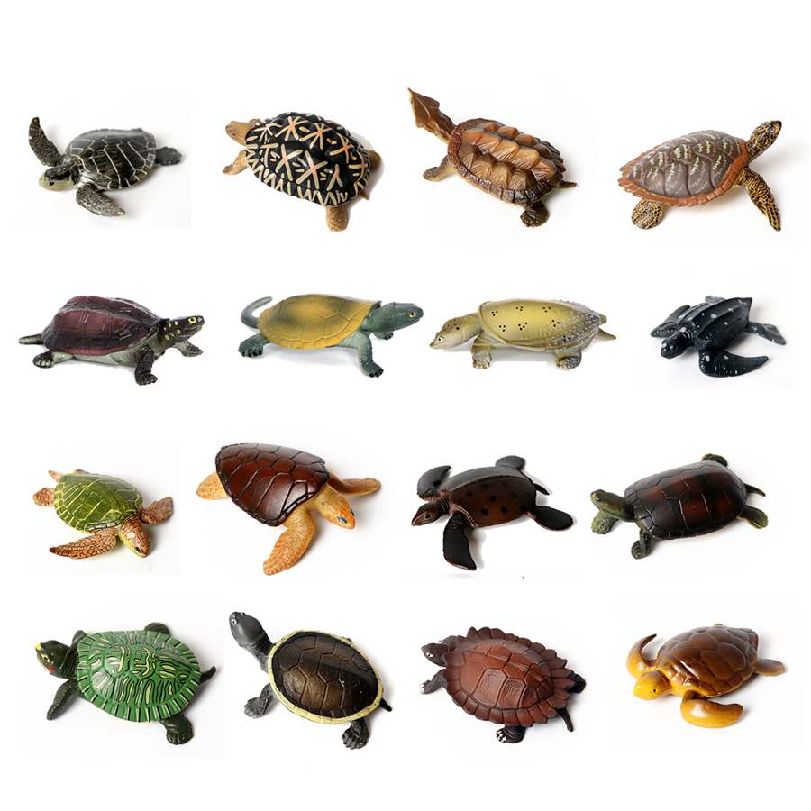 Miniaturas realistas para deco - Marine Aquarium & Regional Centre reseña y precio